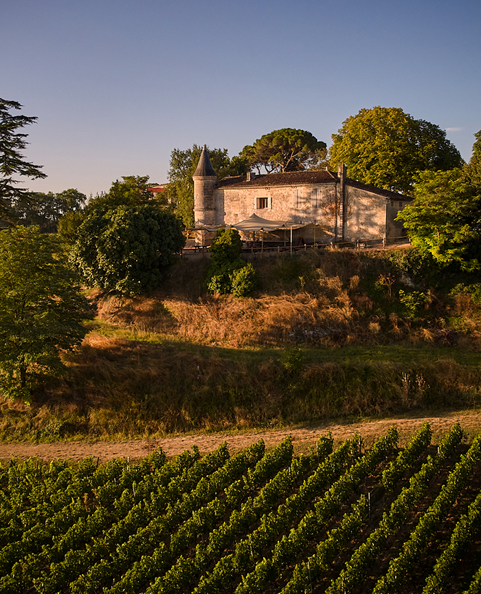 Château Tour Baladoz au dessus des vignes